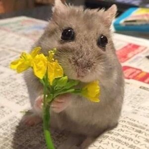 Meet your Posher, Eileen